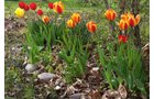 Property photo 4 - REAL ESTATE AUCTION - 16.9+/- Acres in 3 Tracts in Kosciusko County